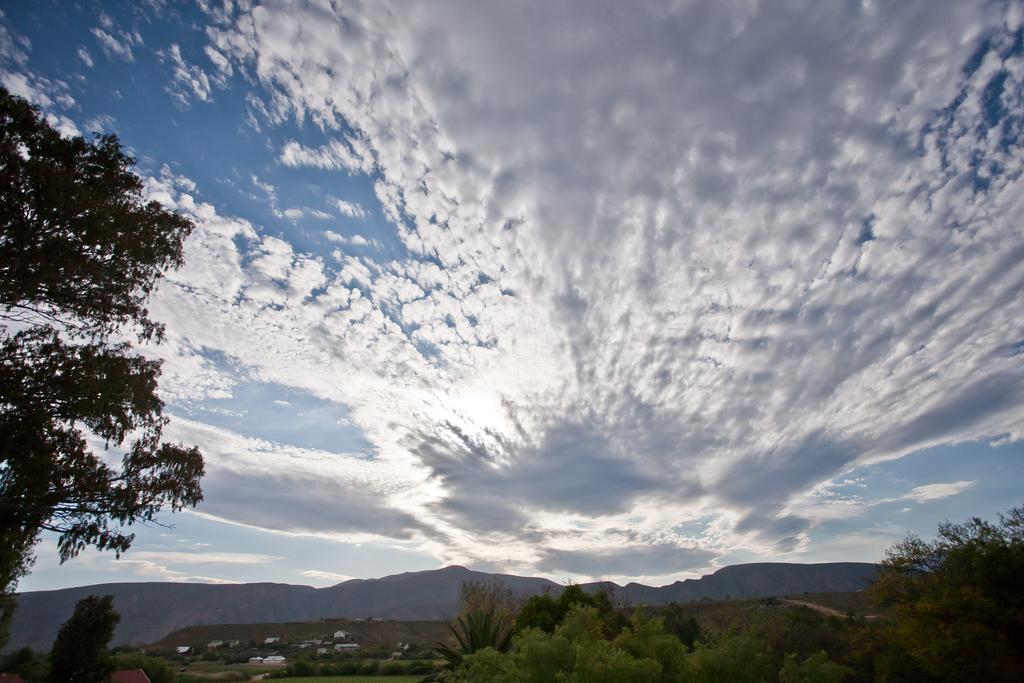 The Queen Of Calitzdorp Exterior foto